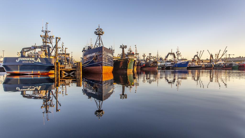 Fishing Boats at Fishermen's Terminal
